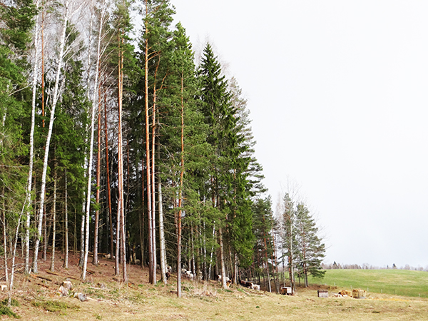 Kuks family farm in South-Estonia